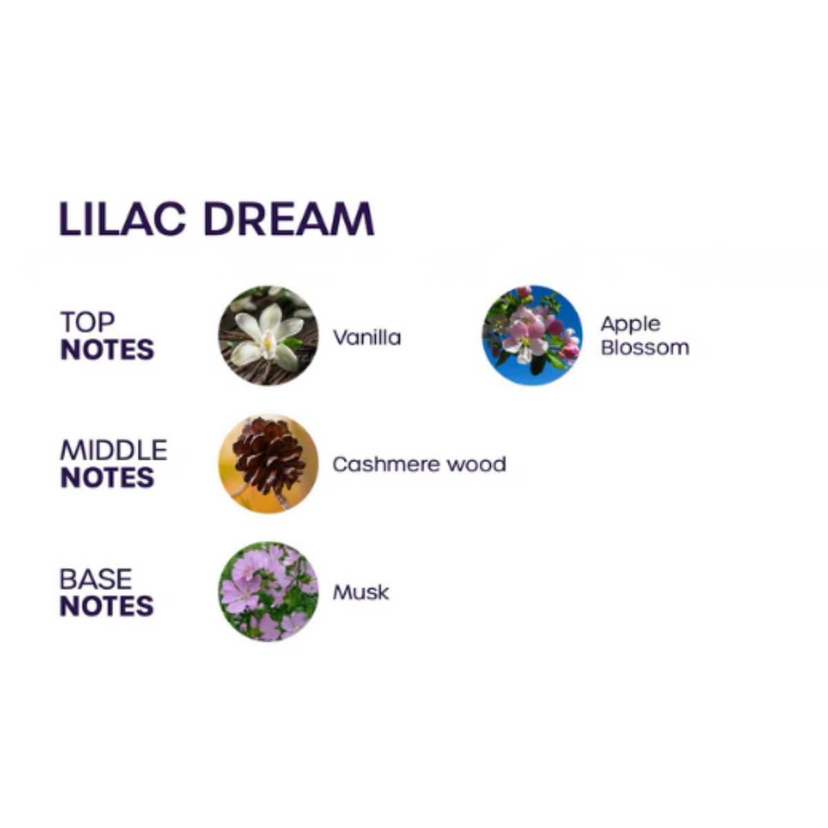 Bloom Lilac Dream Perfume